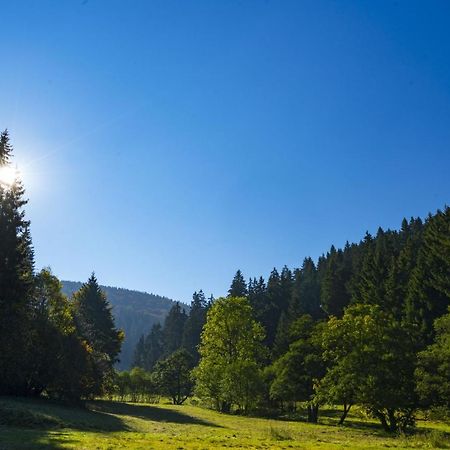 The Conscious Farmer Bed And Breakfast Sauerland Виллинген Экстерьер фото