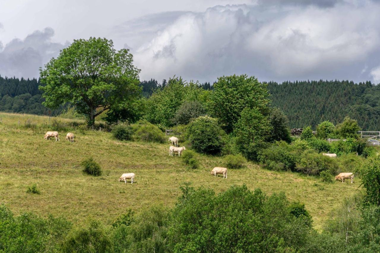 The Conscious Farmer Bed And Breakfast Sauerland Виллинген Экстерьер фото