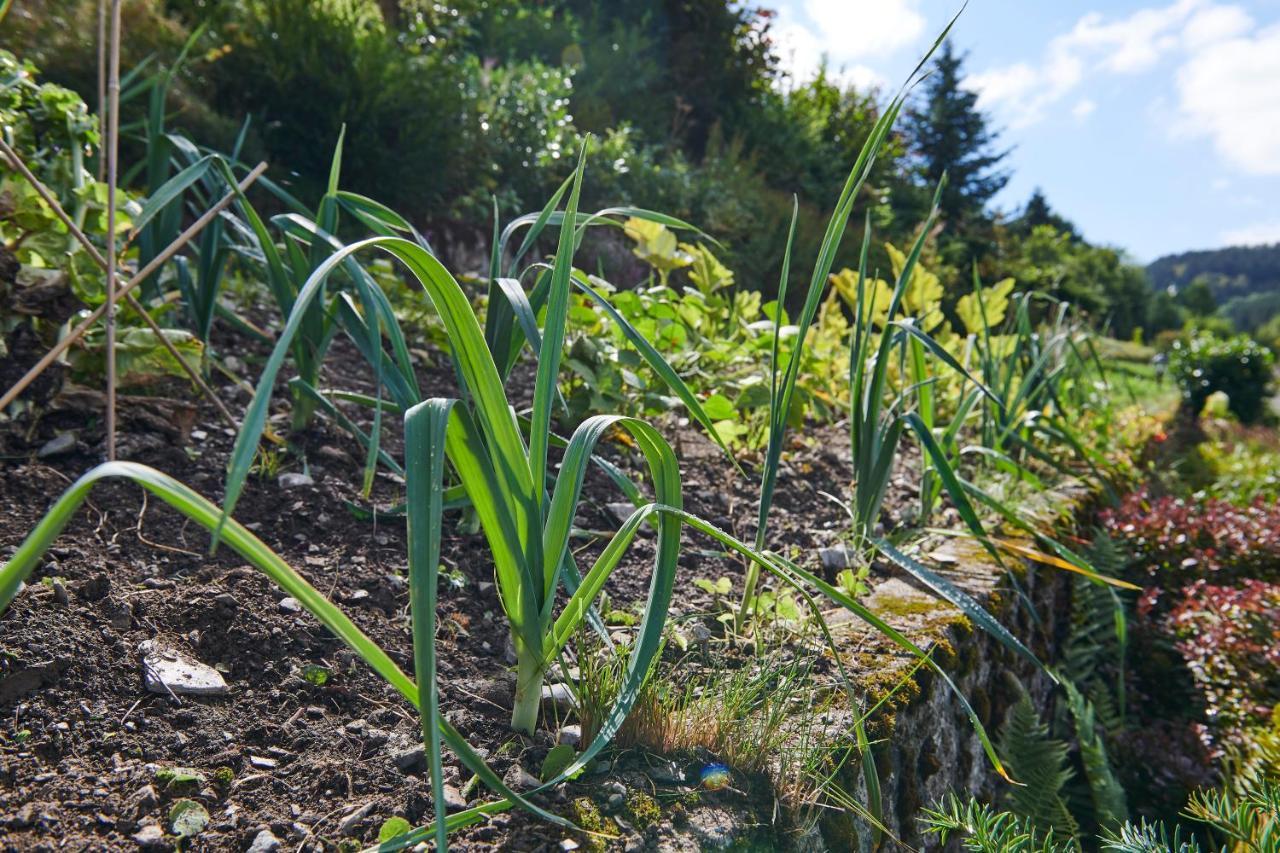 The Conscious Farmer Bed And Breakfast Sauerland Виллинген Экстерьер фото